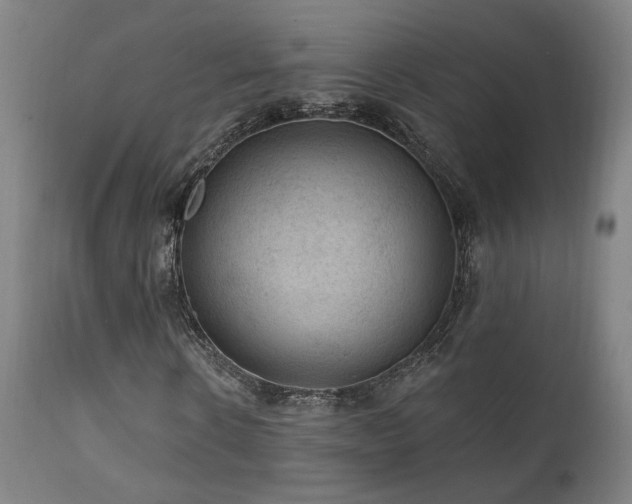 X0000111460914200907131452