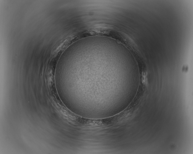 X0000111460915200907131452