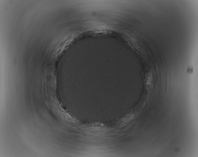 X0000111460916200907131452