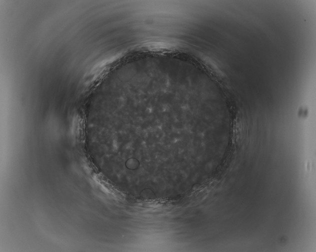 X0000111460917200907131452