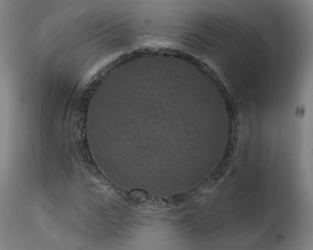 X0000111460919200907131452