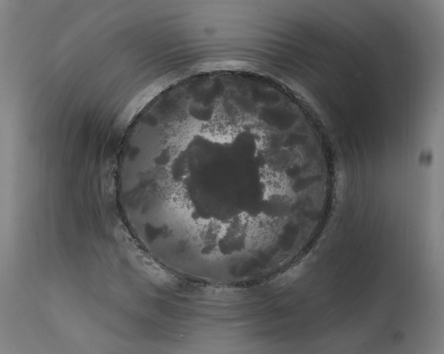 X0000111460921200907131452