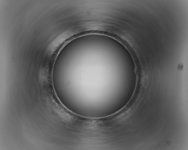X0000111460922200907131452