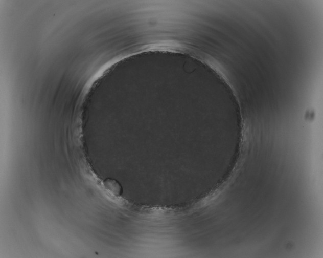X0000111460923200907131452