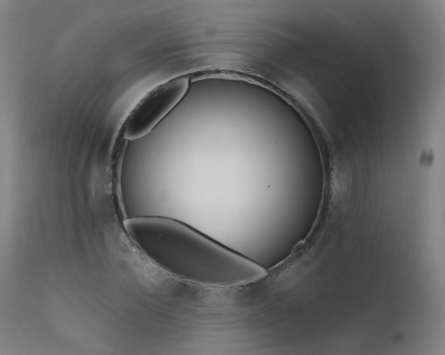 X0000111460924200907131452