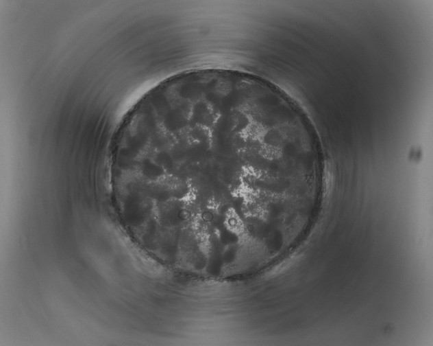 X0000111460925200907131452