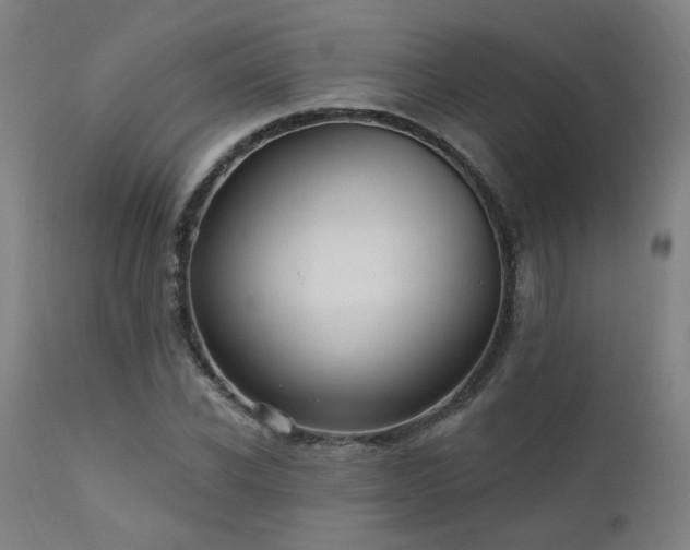 X0000111460926200907131452