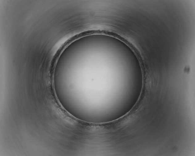 X0000111460927200907131452