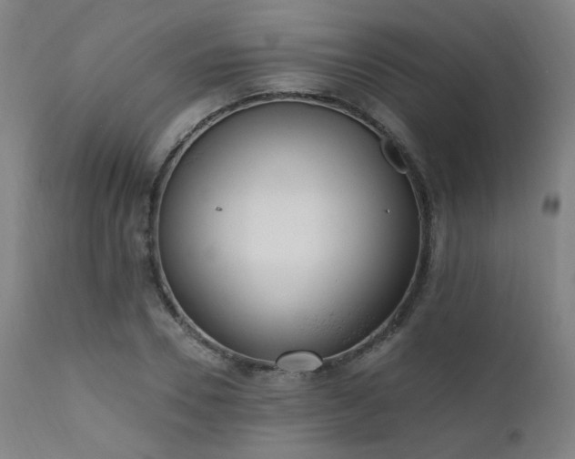 X0000111460930200907131452