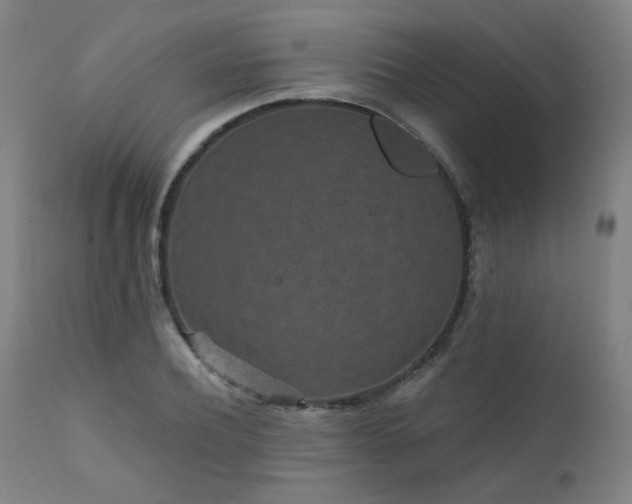 X0000111460932200907131452