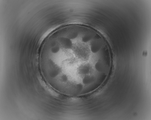 X0000111460933200907131452