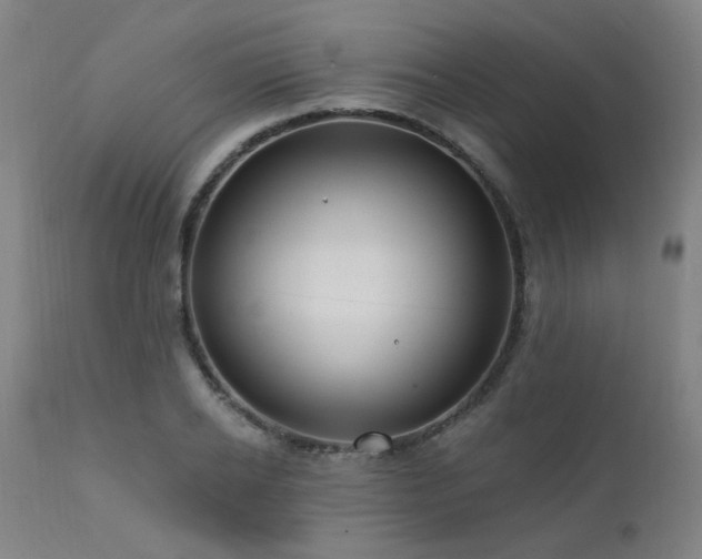 X0000111460934200907131452