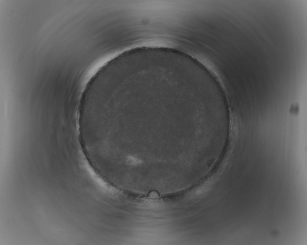 X0000111460935200907131452
