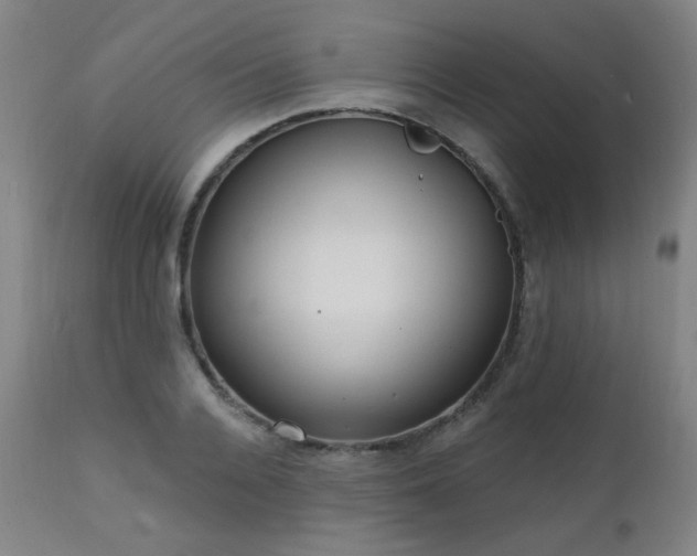 X0000111460936200907131452