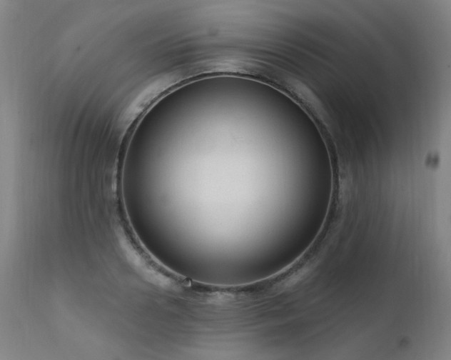 X0000111460938200907131452