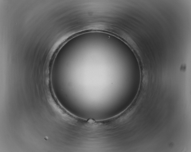 X0000111460939200907131452