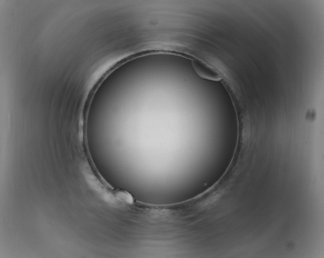 X0000111460940200907131452