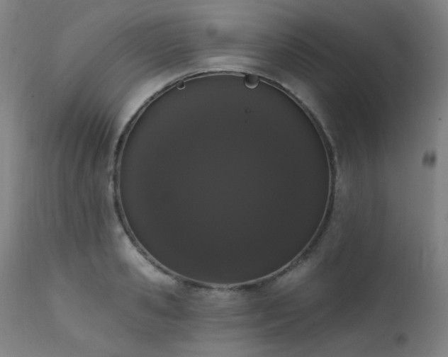 X0000111460941200907131452