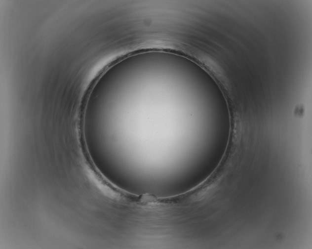 X0000111460942200907131452