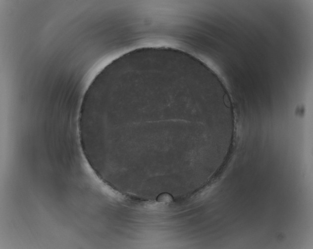 X0000111460943200907131452