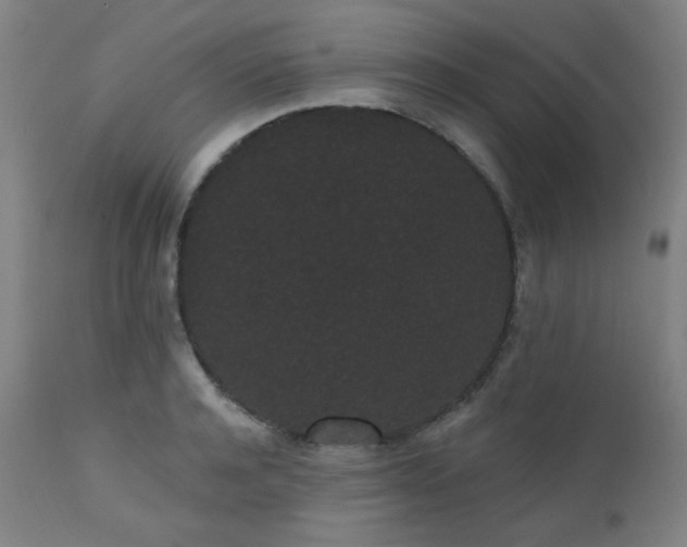 X0000111460944200907131452