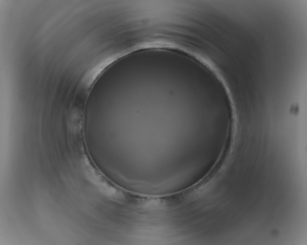 X0000111460945200907131452
