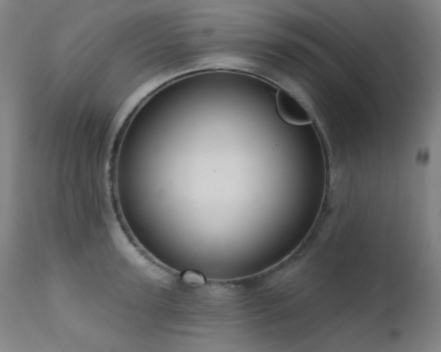 X0000111460947200907131452