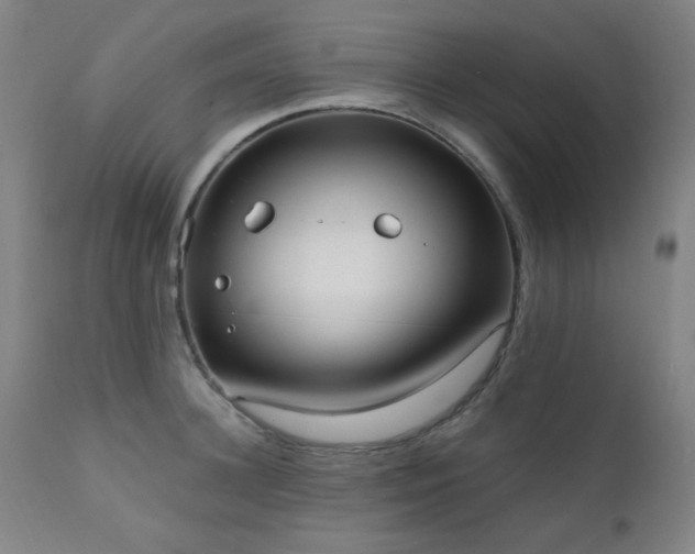 X0000111460948200907131452
