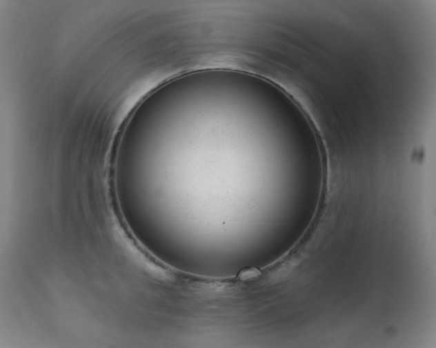 X0000111460949200907131452
