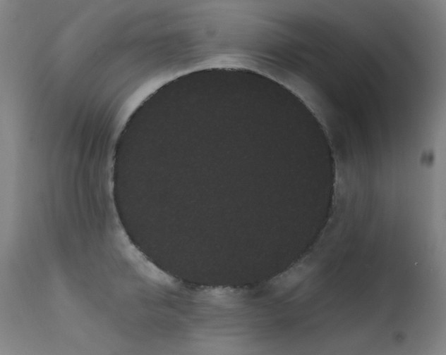 X0000111460950200907131452
