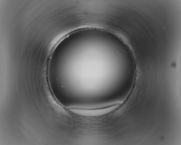 X0000111460952200907131452