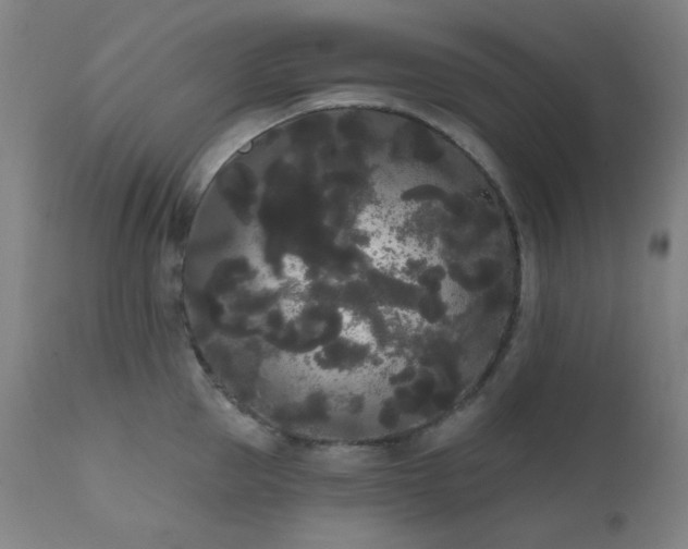 X0000111460953200907131452