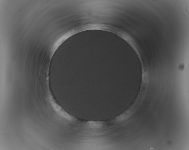 X0000111460954200907131452