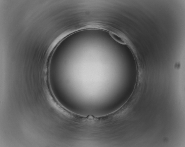 X0000111460955200907131452