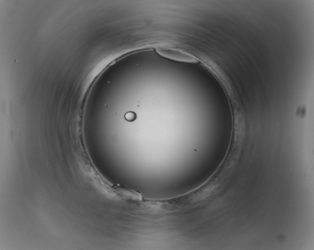 X0000111460956200907131452