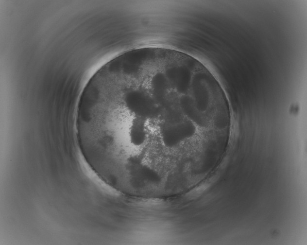 X0000111460957200907131452
