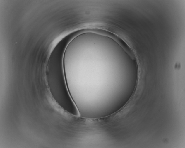 X0000111460960200907131452
