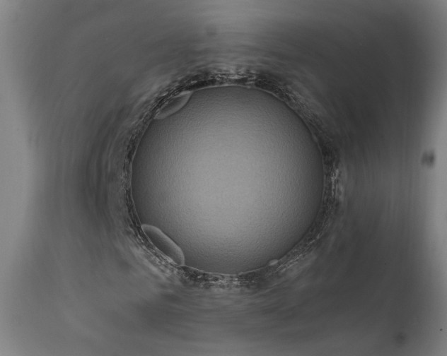 X0000111460961200907131451