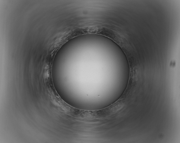 X0000111460962200907131451