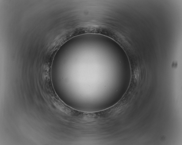 X0000111460964200907131451