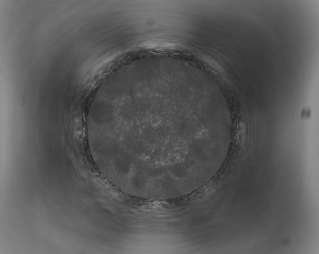 X0000111460966200907131451