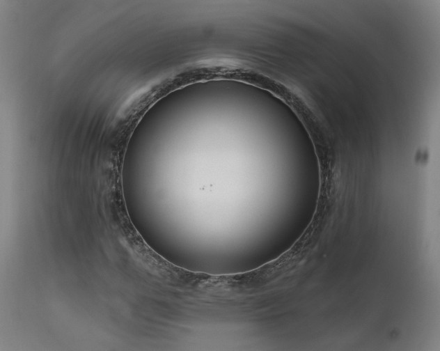 X0000111460967200907131451