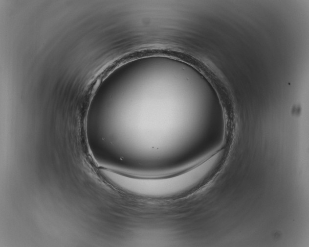 X0000111460969200907131451