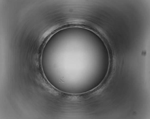 X0000111460970200907131451