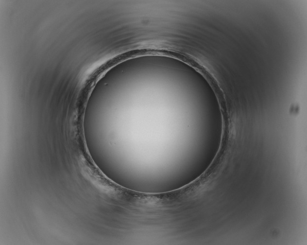 X0000111460971200907131451