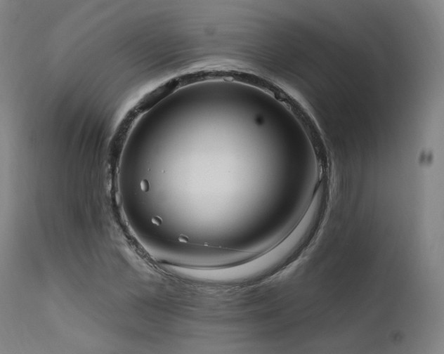 X0000111460973200907131451