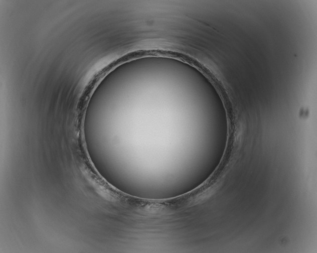 X0000111460974200907131451