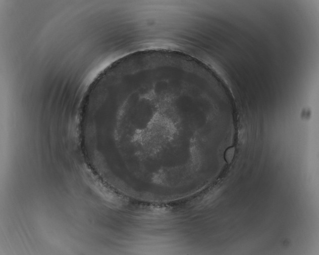 X0000111460975200907131451