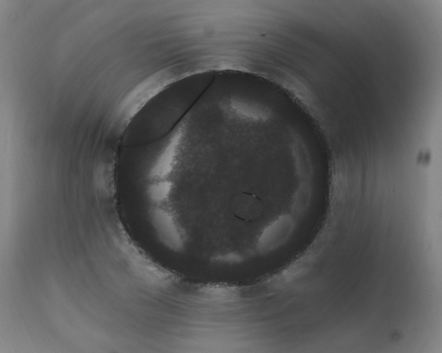 X0000111460977200907131451