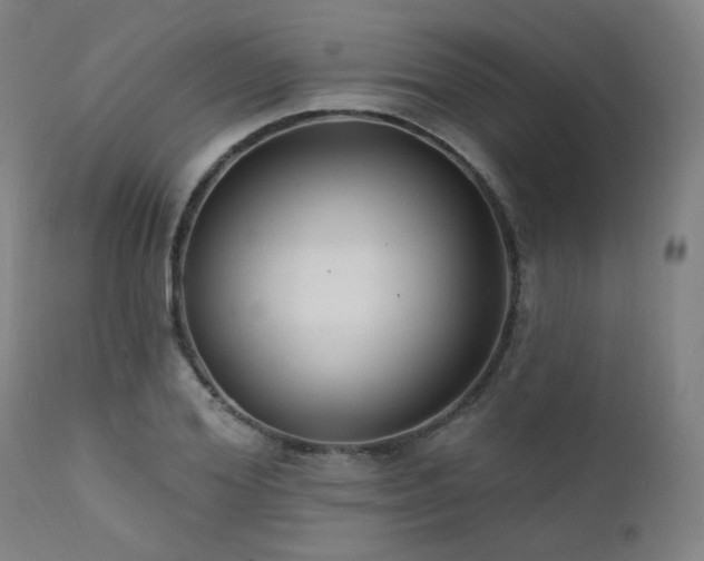 X0000111460980200907131451